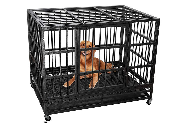 How To Care For Dog Cages