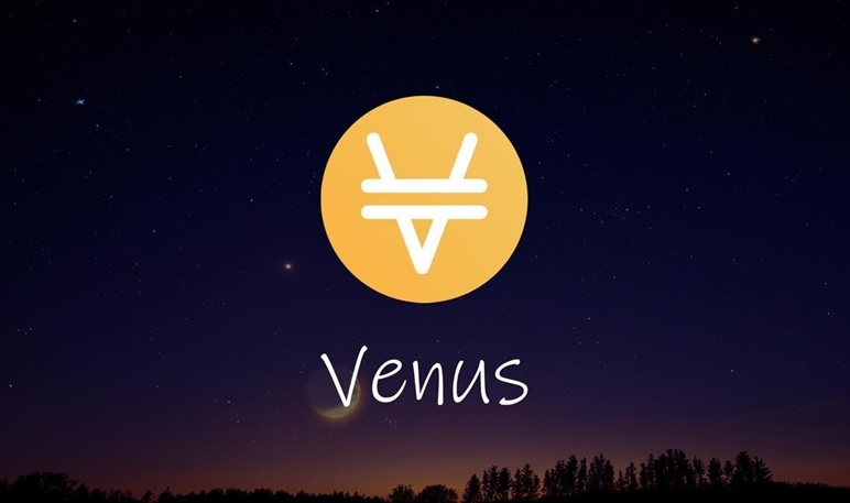 What Venus Crypto Exchange Is