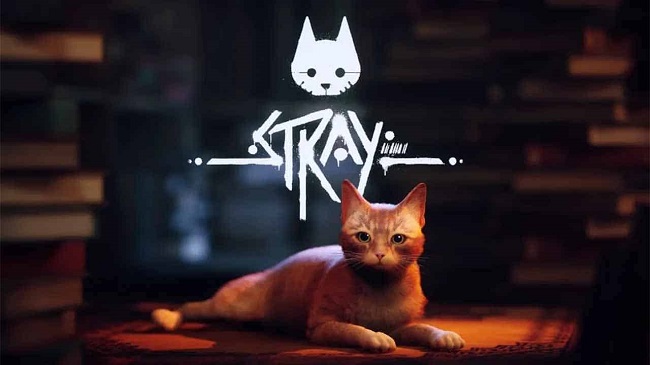 Stray Review: A Masterpiece In The Making?