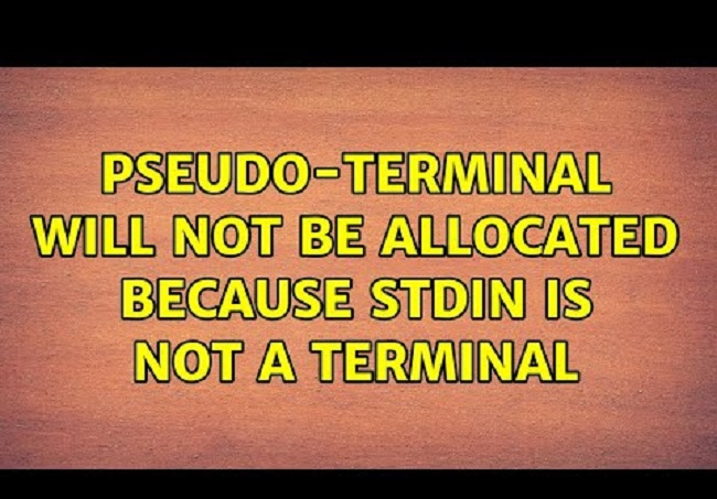 Pseudo-Terminal Will not be Allocated Because Stdin is not a Terminal.