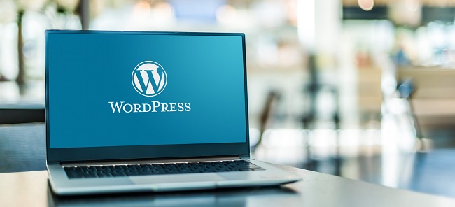 WordPress Development Tools 