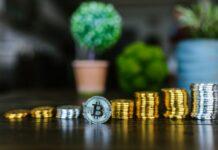 Cryptocurrencies for Beginners