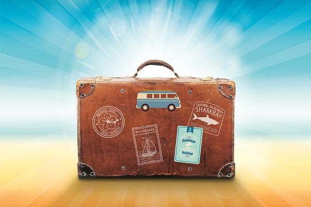 Must-Have Items for Every Frequent Traveler