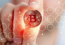 A Beginner Enter Into Bitcoin Trading